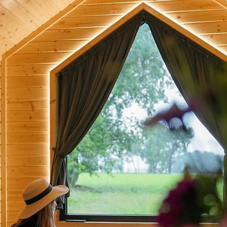Willa Lisi Grun Tiny House By Tiny Away Sattledt Zewnętrze zdjęcie